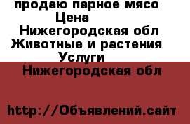 продаю парное мясо › Цена ­ 280 - Нижегородская обл. Животные и растения » Услуги   . Нижегородская обл.